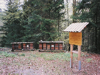 Blick auf die Vlker in St. Mrgen