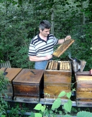 Brutkontrolle bei den Jungvlkern im Mooswald