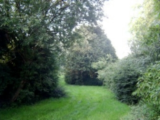 Blick aufs Winterquartier in Norsingen