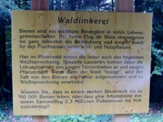 Tafel am Waldlehrpfard